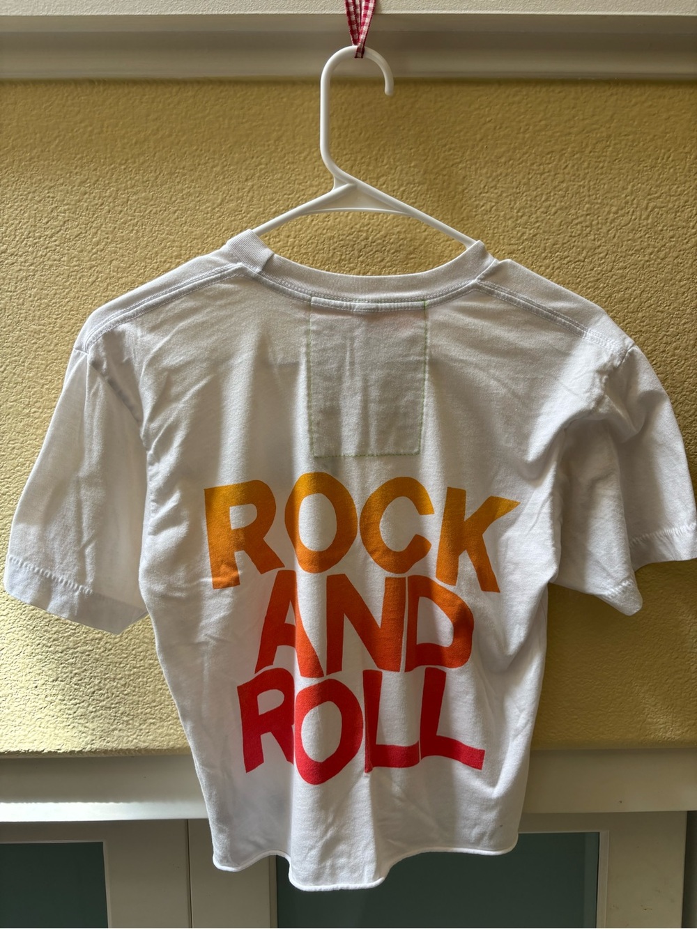 Aviator Nation Bottle Rock 2024 Rock and Roll Merch